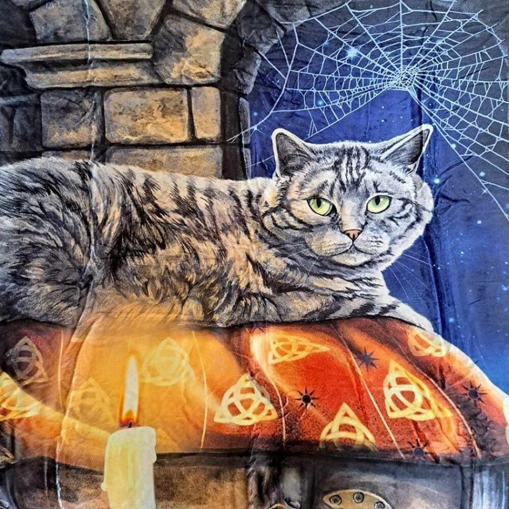 New Witches Cat Plush Throw Gift Blanket Sherpa Lisa Parker Witchcraft Enchanted - Picture 3 of 5